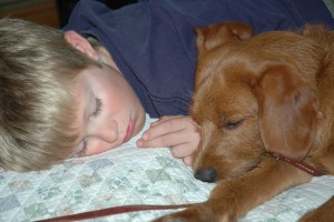 Kids and pets share a tight bond.